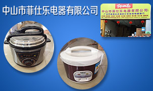 中山市菲仕樂電器有限公司
